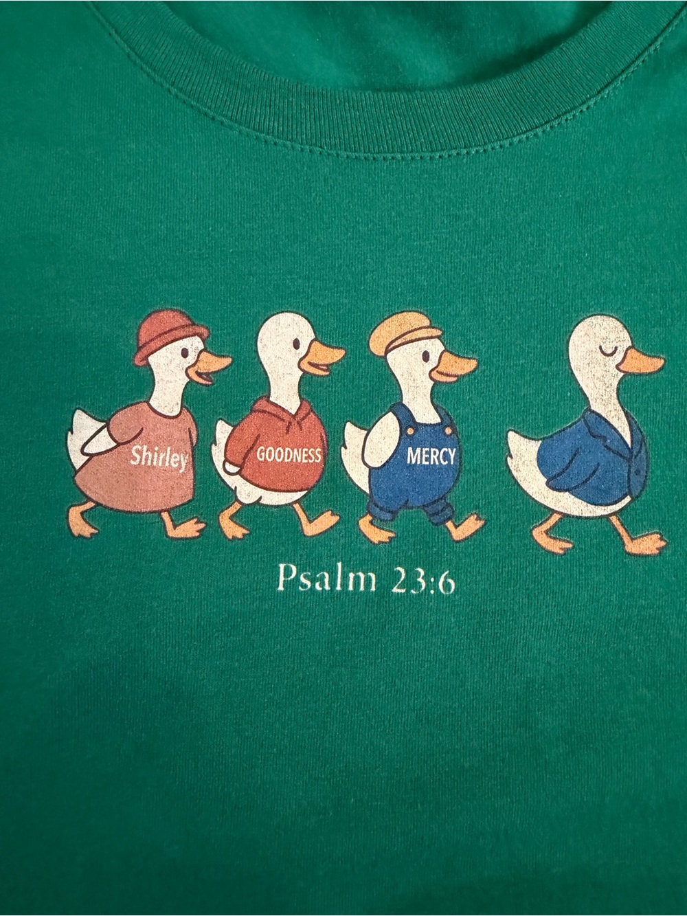 Psalm 23:6 Shirley, Goodness, and Mercy Tee